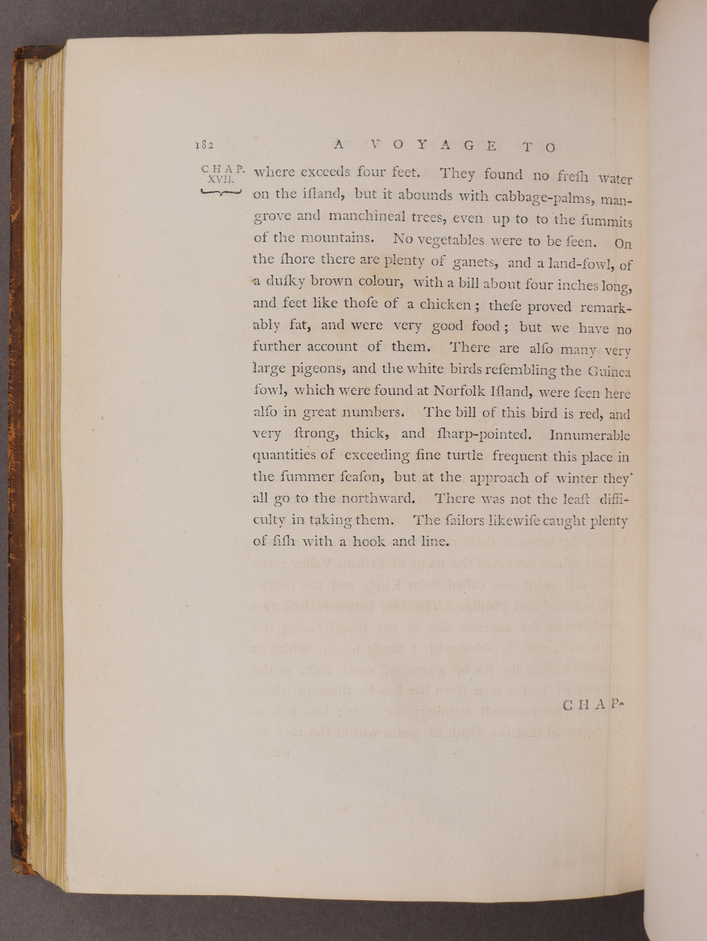 Page 182